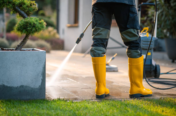 Best Deck Cleaning Services  in Angola, NY